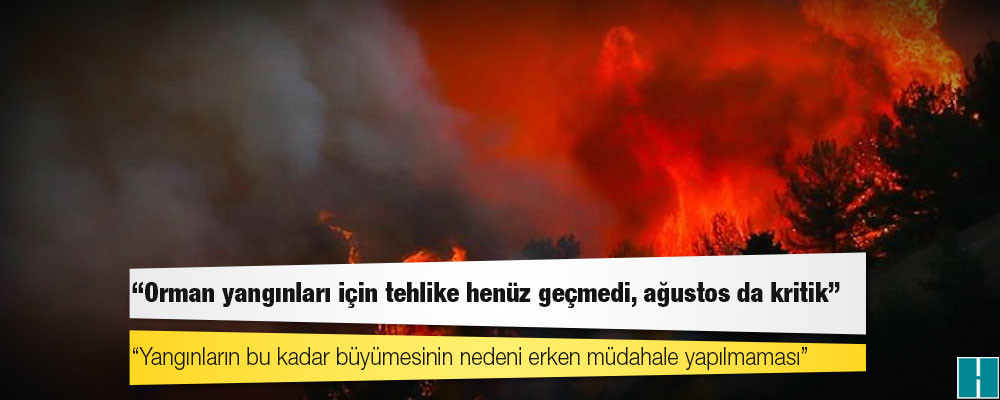 Prof. Dr. Atmış: Orman yangınları için tehlike henüz geçmedi, ağustos da kritik