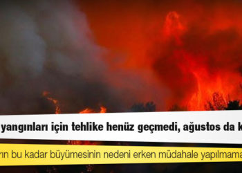 Prof. Dr. Atmış: Orman yangınları için tehlike henüz geçmedi, ağustos da kritik