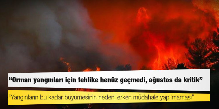 Prof. Dr. Atmış: Orman yangınları için tehlike henüz geçmedi, ağustos da kritik
