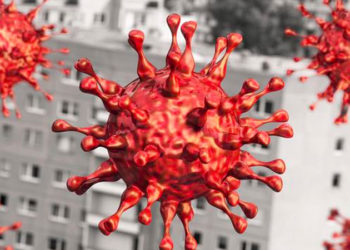 Rapor: Virüs biyolojik silah olarak geliştirilmedi