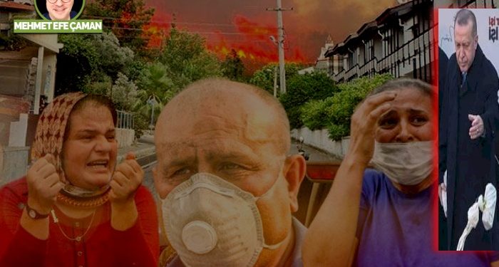 Sadece ormanlar yanmadı