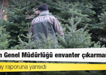Sayıştay raporuna yansıdı; Orman Genel Müdürlüğü envanter çıkarmamış