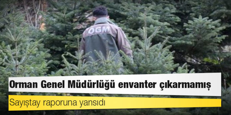 Sayıştay raporuna yansıdı; Orman Genel Müdürlüğü envanter çıkarmamış