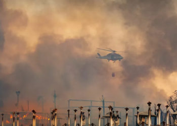 Sicilya adası, orman yangınlarıyla mücadele ediyor
