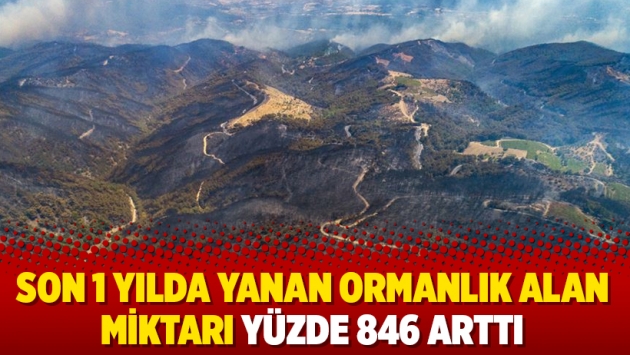 Son 1 yılda yanan ormanlık alan miktarı yüzde 846 arttı