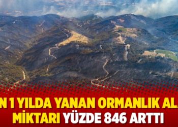 Son 1 yılda yanan ormanlık alan miktarı y&uuml;zde 846 arttı