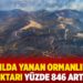 Son 1 yılda yanan ormanlık alan miktarı yüzde 846 arttı