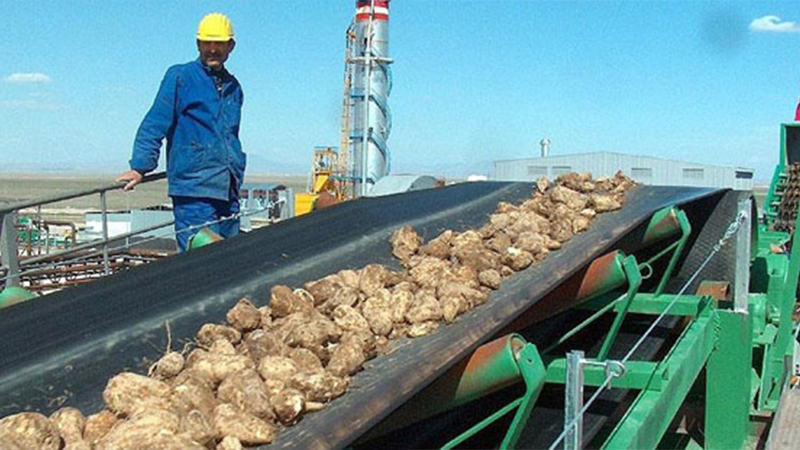 Türkşeker'in bazı taşınmazlarının satışına onay verildi