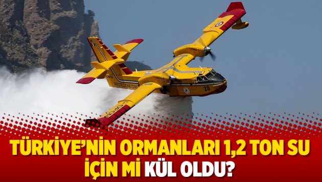 Türkiye’nin ormanları 1,2 ton su için mi kül oldu?