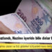 TL’den kaçış hızlandı, Hazine içeride bile dolar borcu alıyor