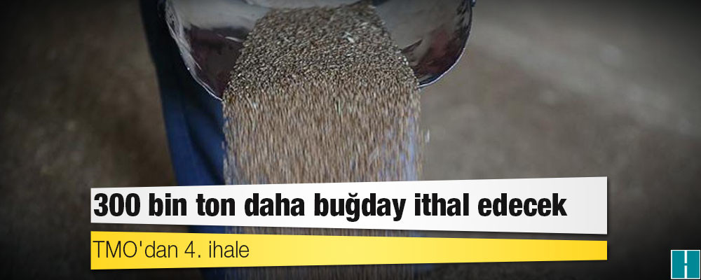 TMO'dan 4. ihale: 300 bin ton daha buğday ithal edecek