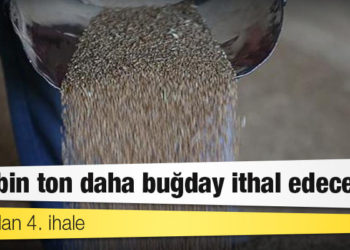 TMO'dan 4. ihale: 300 bin ton daha buğday ithal edecek