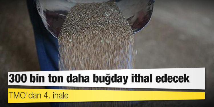 TMO'dan 4. ihale: 300 bin ton daha buğday ithal edecek