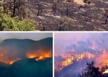 Tarkan: Kalbim ve dualarım Dersim’le