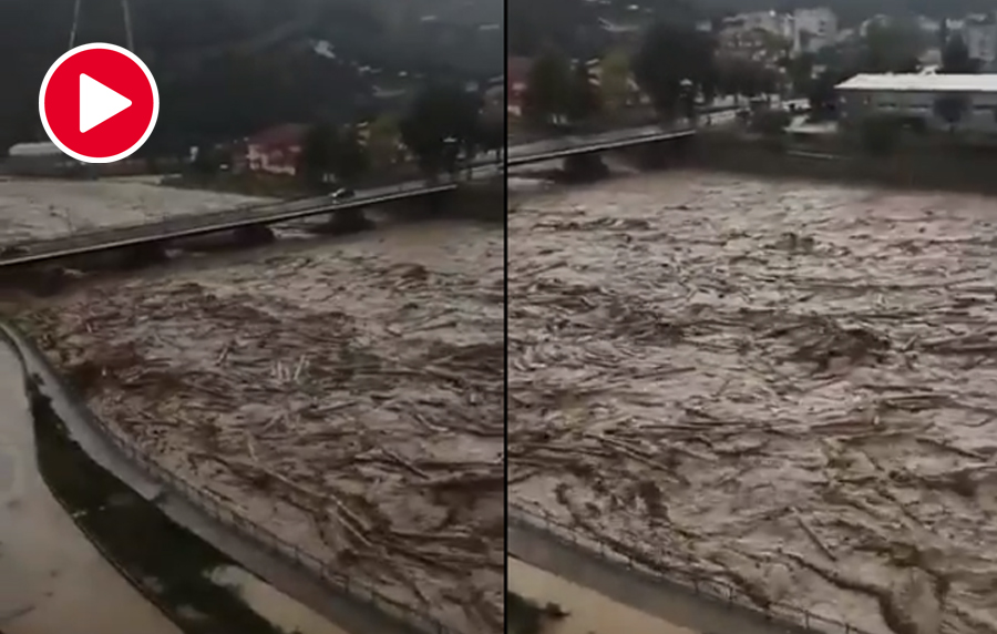 Tomruk deposunu kaldırmak isteyen eski kaymakam, ‘ankesör’ mağduru çıktı!