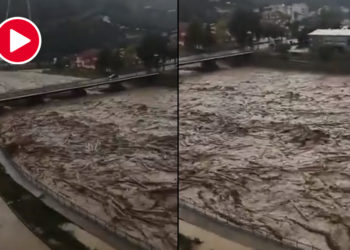 Tomruk deposunu kaldırmak isteyen eski kaymakam, ‘ankesör’ mağduru çıktı!