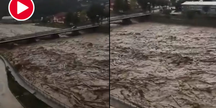 Tomruk deposunu kaldırmak isteyen eski kaymakam, ‘ankesör’ mağduru çıktı!