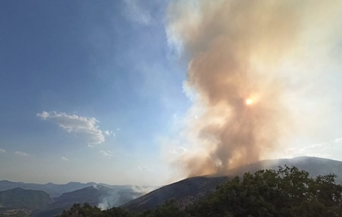 Tunceli’de 11 gündür yanan ormana havadan müdahale edilmedi