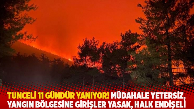 Tunceli 11 gündür yanıyor! Müdahale yetersiz, yangın bölgesine girişler yasak, halk endişeli