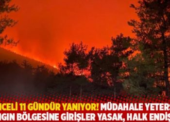 Tunceli 11 g&uuml;nd&uuml;r yanıyor! M&uuml;dahale yetersiz, yangın b&ouml;lgesine girişler yasak, halk endişeli
