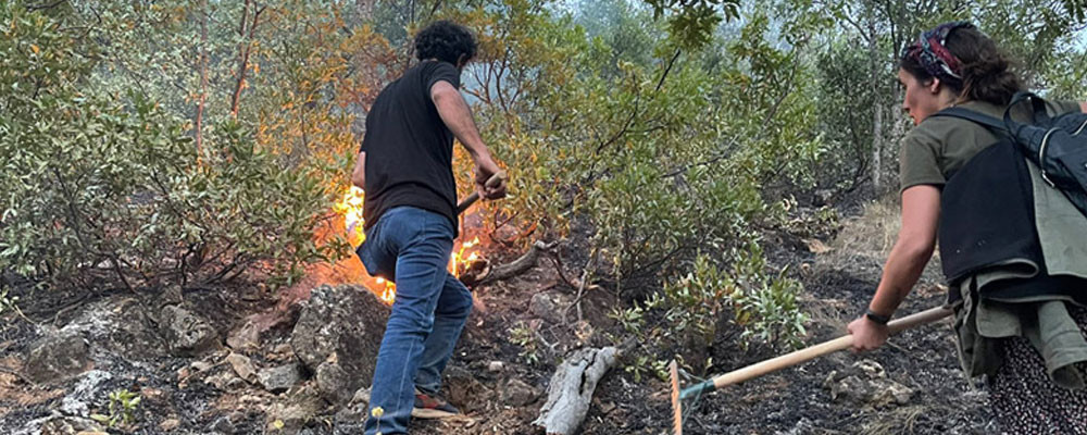 Tunceli Belediyesi: Hozat-Ovacık arasındaki yangın sürüyor