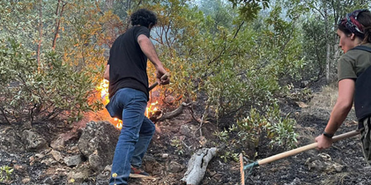 Tunceli Belediyesi: Hozat-Ovacık arasındaki yangın sürüyor