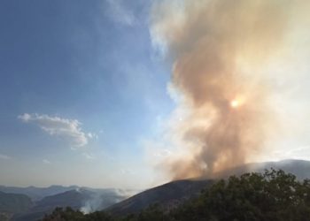 Tunceli’de 11 gündür yanan ormana havadan müdahale edilmedi