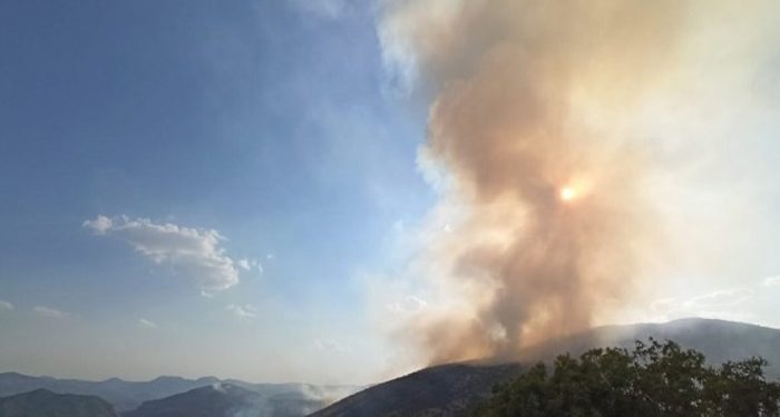 Tunceli’de 11 gündür yanan ormana havadan müdahale edilmedi