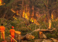 Türkiye, 8 gündür orman yangınları ile mücadele ediyor: 5 ilde, 14 yangın sürüyor