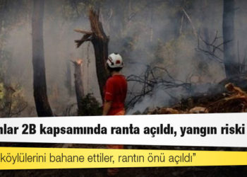 Türkiye'nin ormanlarına ne oluyor, yangın riski nasıl arttı?