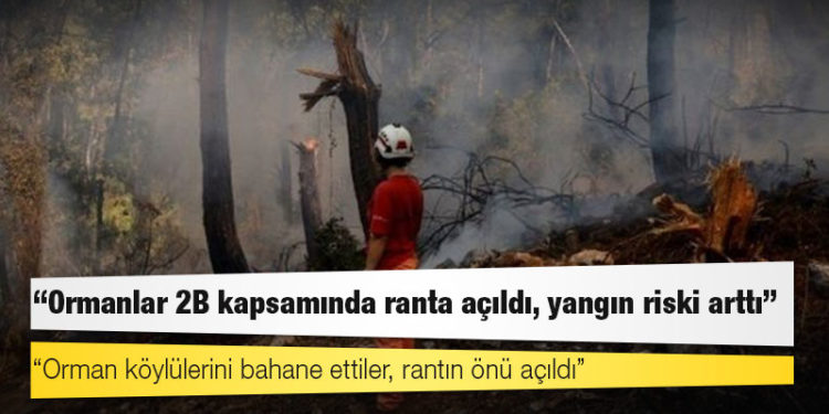 Türkiye'nin ormanlarına ne oluyor, yangın riski nasıl arttı?