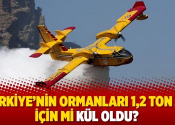T&uuml;rkiye&rsquo;nin ormanları 1,2 ton su i&ccedil;in mi k&uuml;l oldu?
