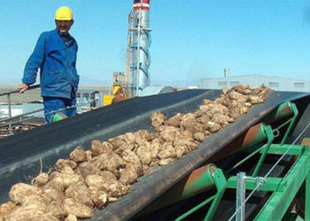 Türkşeker'in bazı taşınmazlarının satışına onay verildi