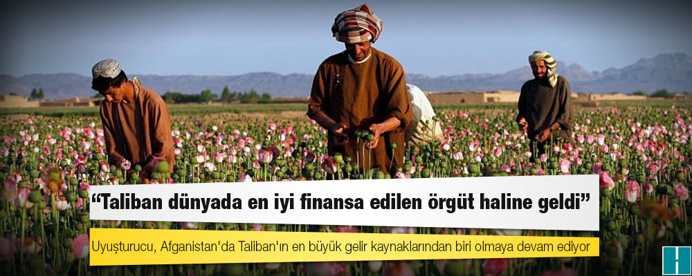 Uyuşturucu, Afganistan'da Taliban'ın en büyük gelir kaynaklarından biri olmaya devam ediyor