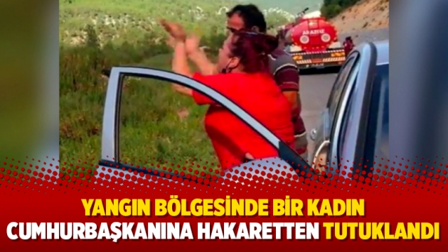 Yangın bölgesinde bir kadın cumhurbaşkanına hakaretten tutuklandı