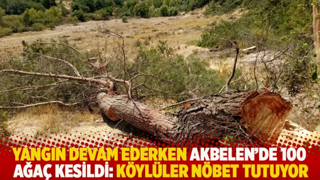 Yangın devam ederken Akbelen'de 100 ağaç kesildi: Köylüler nöbet tutuyor