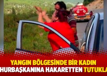 Yangın b&ouml;lgesinde bir kadın cumhurbaşkanına hakaretten tutuklandı