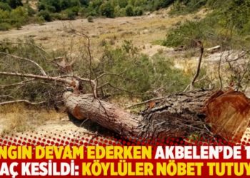 Yangın devam ederken Akbelen'de 100 ağa&ccedil; kesildi: K&ouml;yl&uuml;ler n&ouml;bet tutuyor