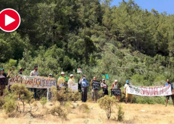 Yangından kurtulan Akbelen, talandan kurtulamadı!