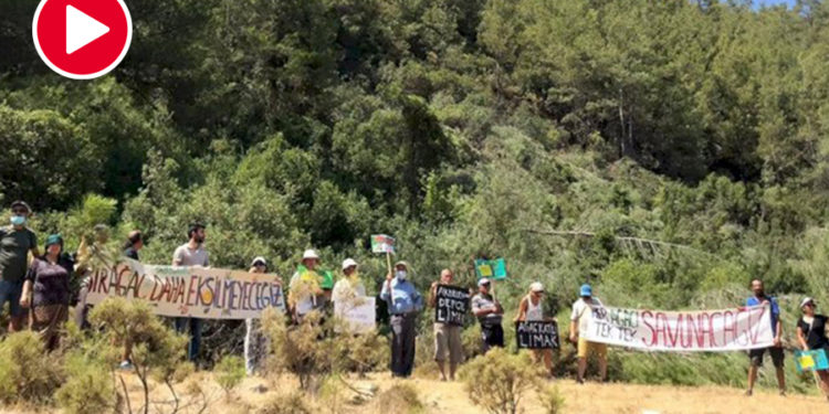 Yangından kurtulan Akbelen, talandan kurtulamadı!