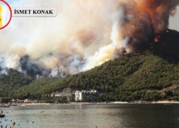 Yangınların perde arkası: Metalaştırılan doğa