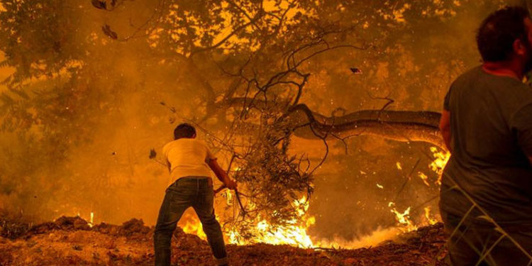 Yunanistan ve İtalya'da alevlerle mücadele sürüyor