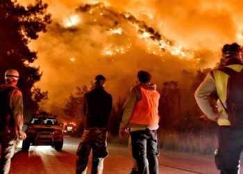 Yunanistan'da orman yangınları s&uuml;r&uuml;yor: 'Kıyamet gibi'