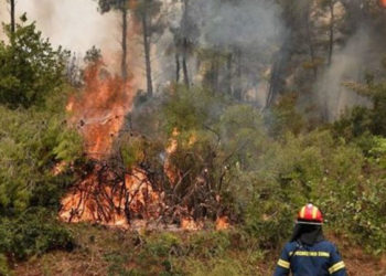 Yunanistan'da yangın söndürme çalışmalarına ordu da katılacak