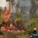 Yunanistan'da yangın söndürme çalışmalarına ordu da katılacak