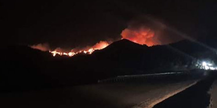 Yılkı atları ile büyükbaş ve küçükbaş hayvanların yaşadığı, alageyiklerin de üreme bölgesi olan Eynif'te yangın devam ediyor