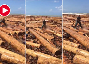 İddialar vahim; Bakanlığın tomrukları, faciayı büyüttü