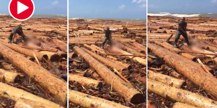 İddialar vahim; Bakanlığın tomrukları, faciayı büyüttü