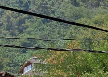 İstanbul Beykoz'da ormanlık alanda çıkan yangın kontrol altına alındı