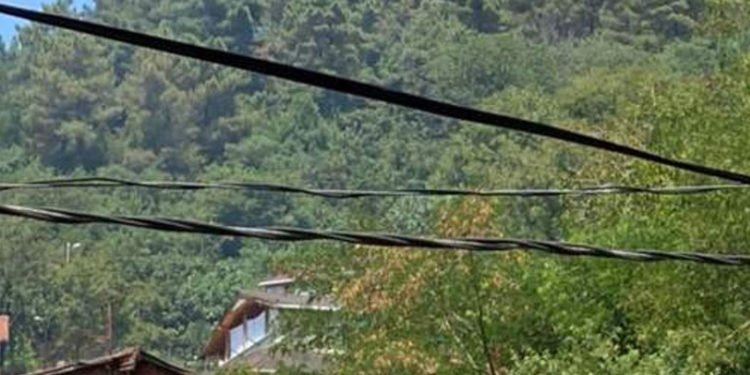 İstanbul Beykoz'da ormanlık alanda çıkan yangın kontrol altına alındı